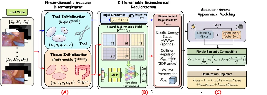PhysioSplat research overview